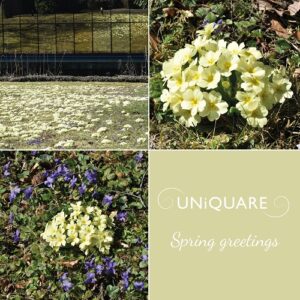 Read more about the article Spring greetings